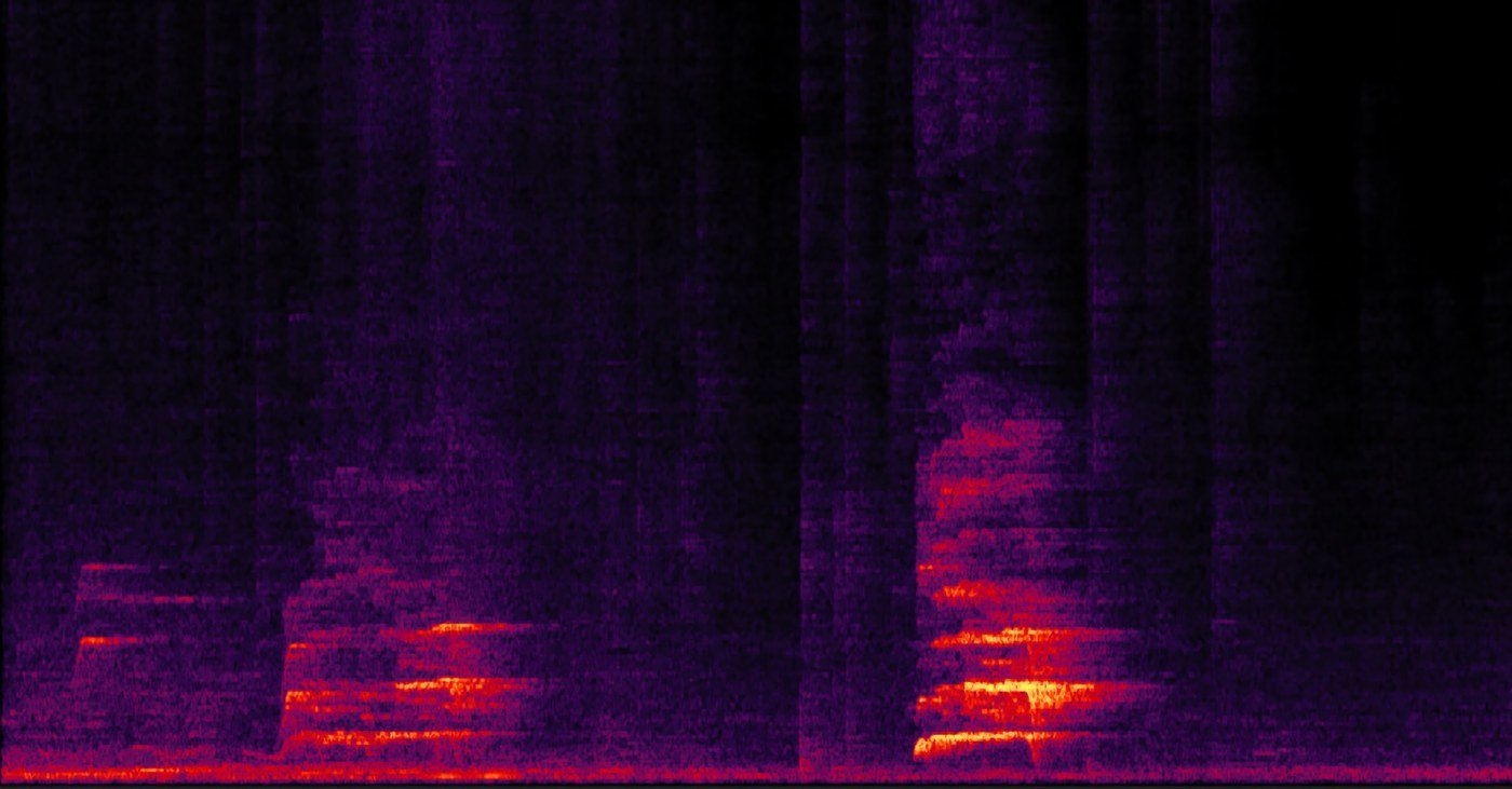 Spectrogram of the rescue recording: bursts of voice frequencies against time